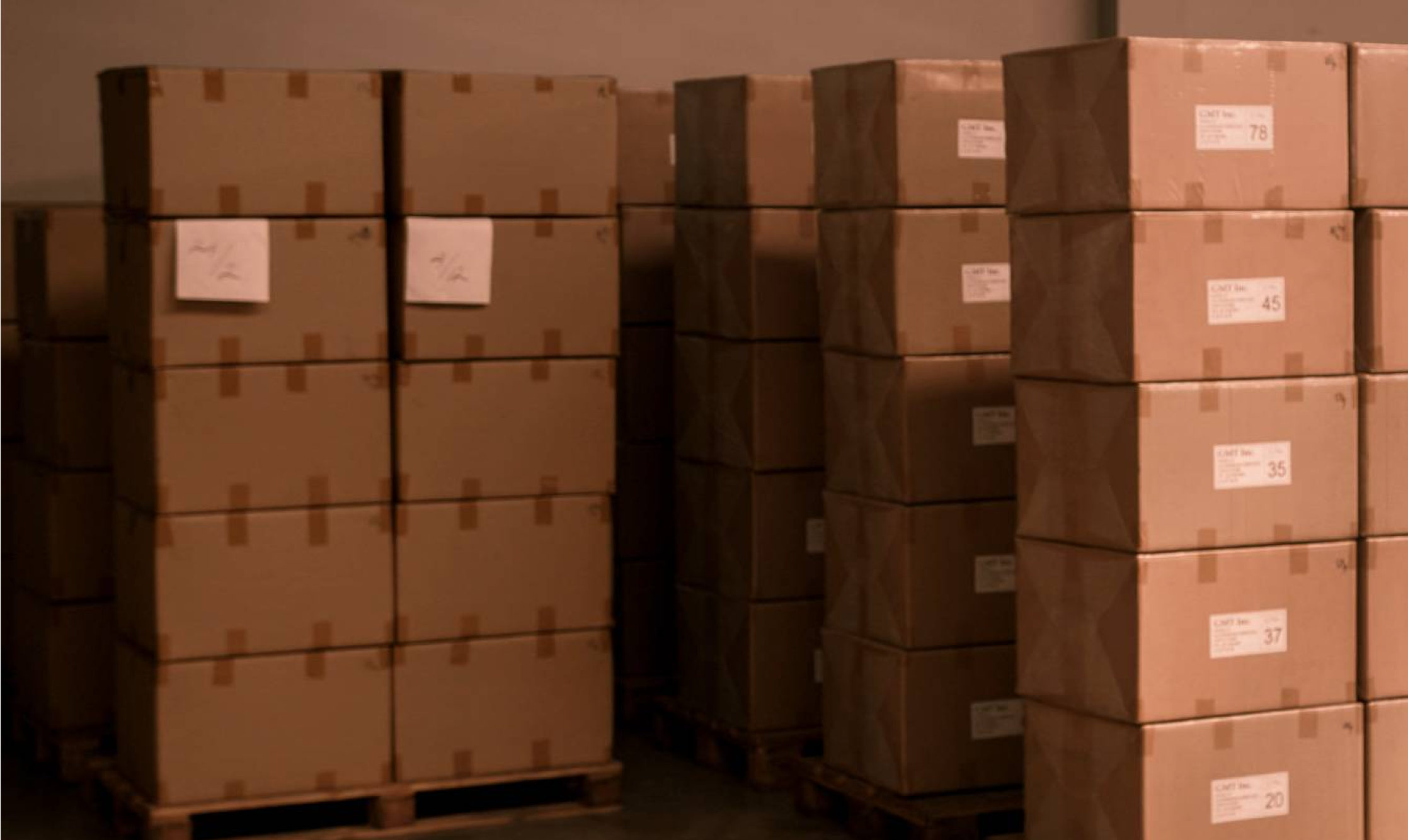 The Beginning of Fortuna Shoes